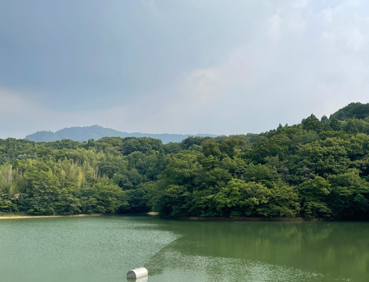 ◆中池(七箇)
