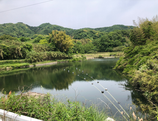 谷田池