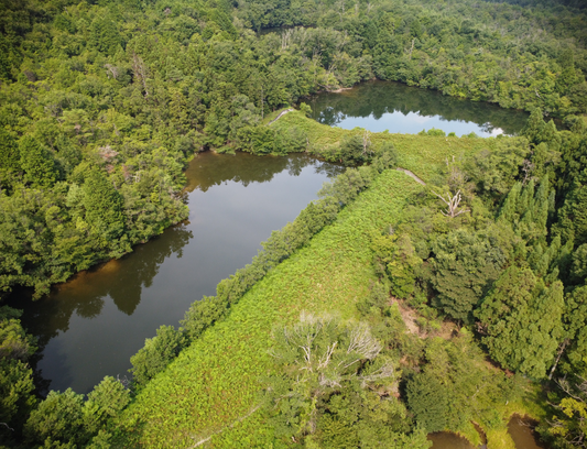◆伊賀界外野池群