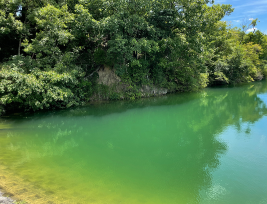 五藤東池・南池