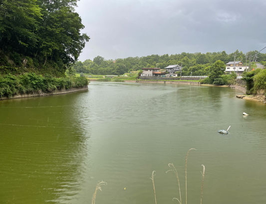 鳥谷池