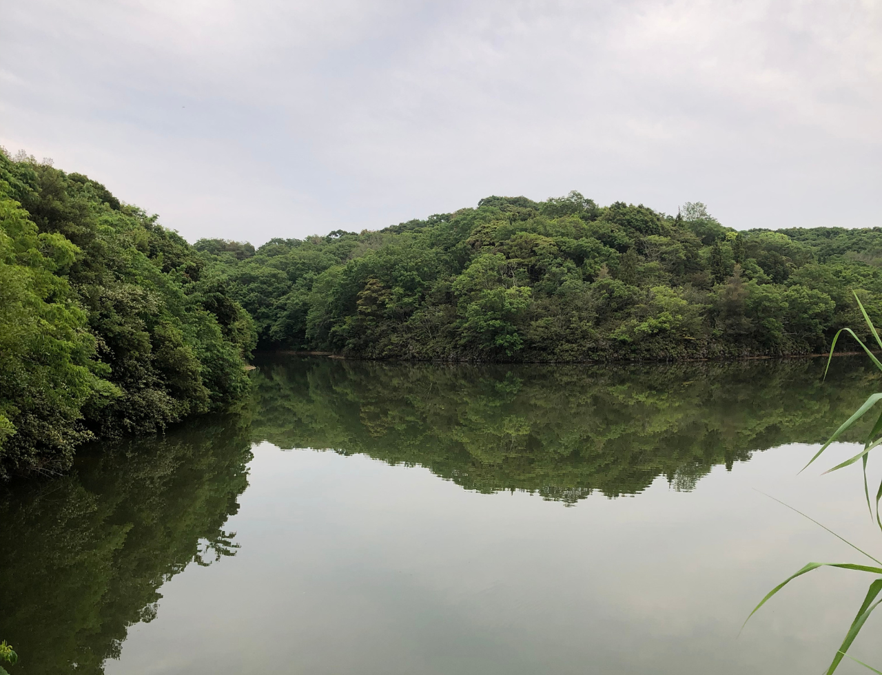◆小骨池