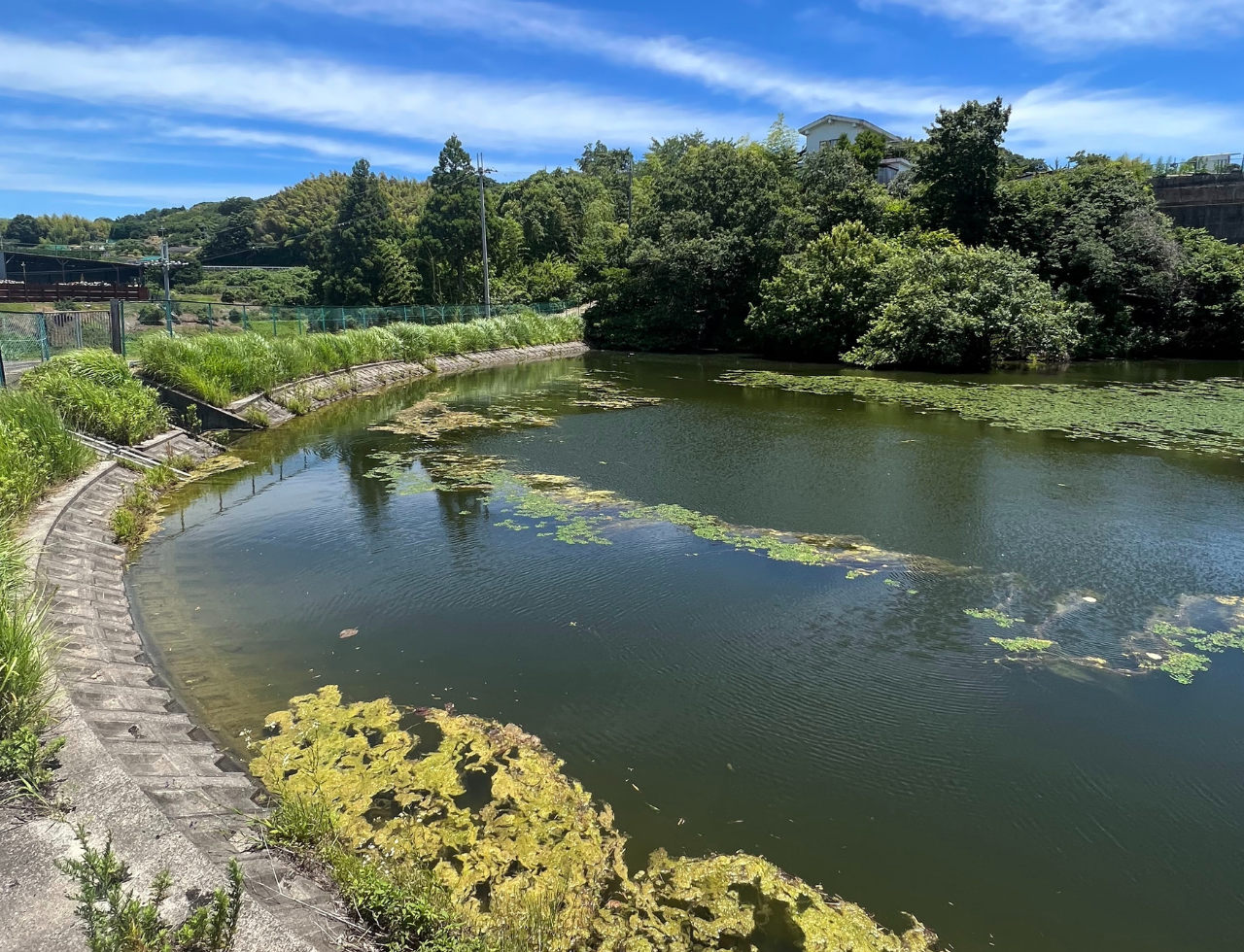 ◆松の前池