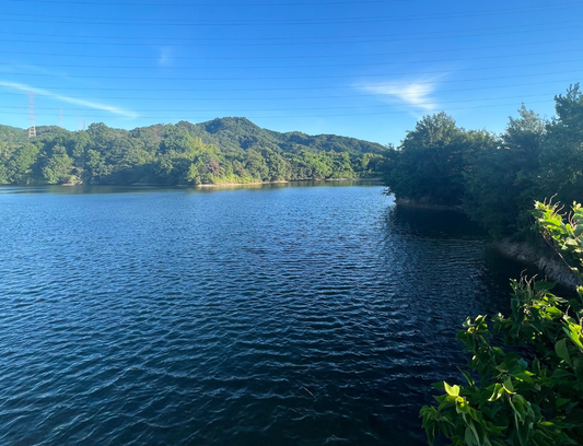 別所池（久保）