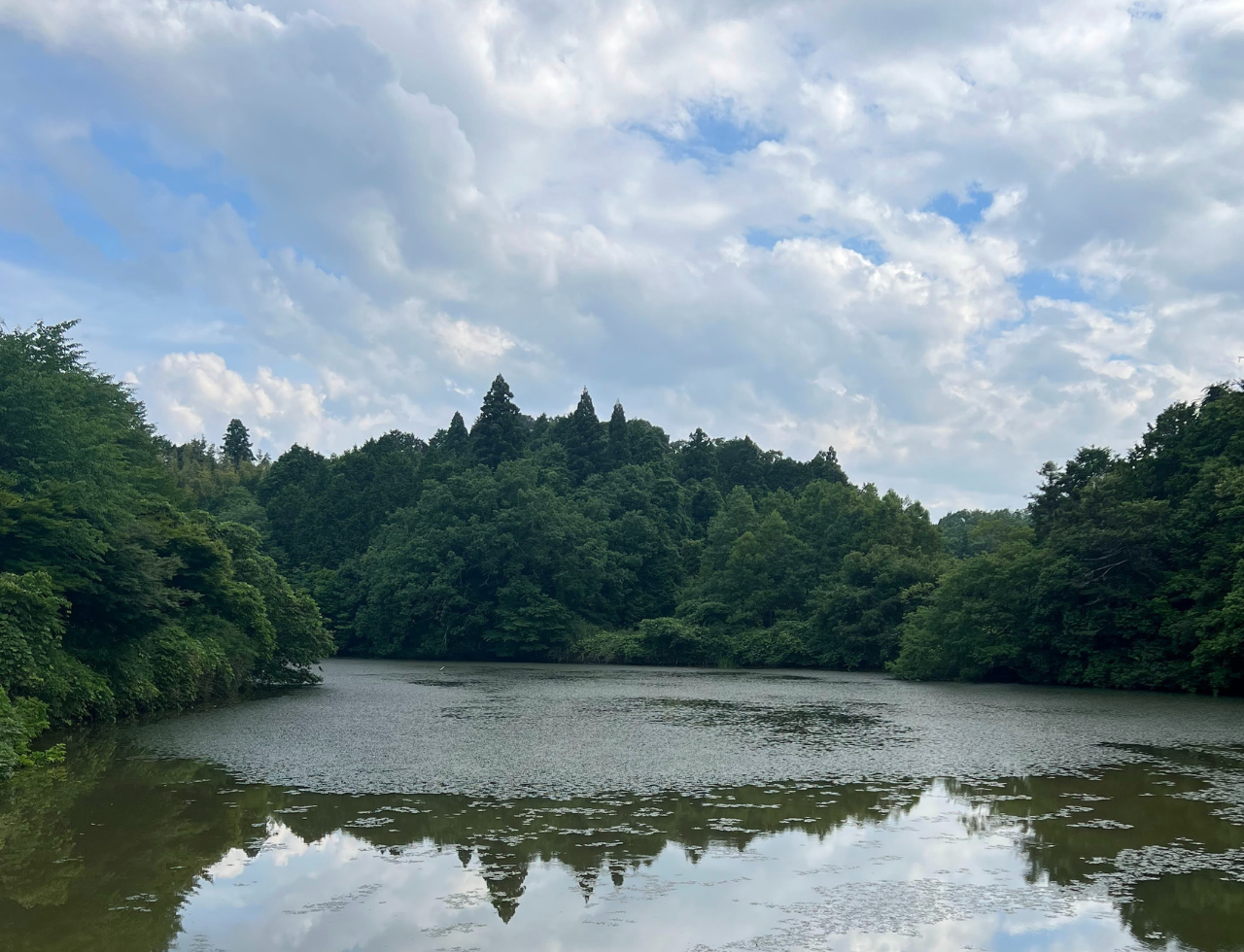◆南山池