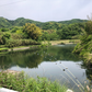 ◆谷田池