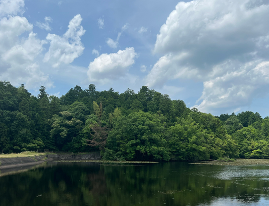 ◆弁天池（下）