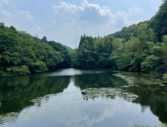 ◆小野東神社南池