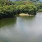 ◆下村池（丁ノ町）