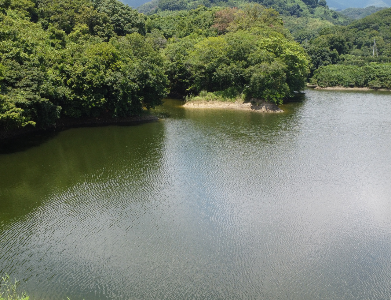 ◆下村池（丁ノ町）