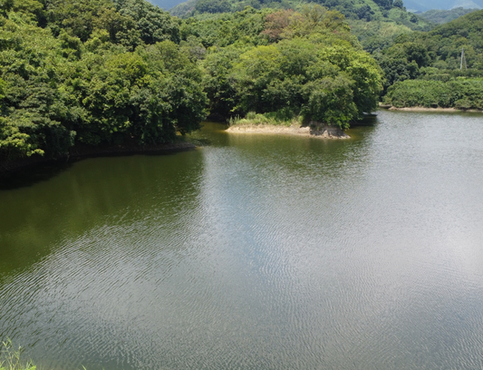 ◆下村池（丁ノ町）