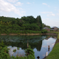 ◆大谷池(高野)