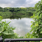 ◆増田池