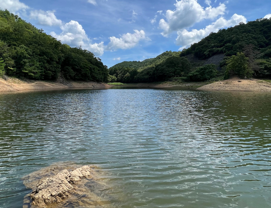◆中山池