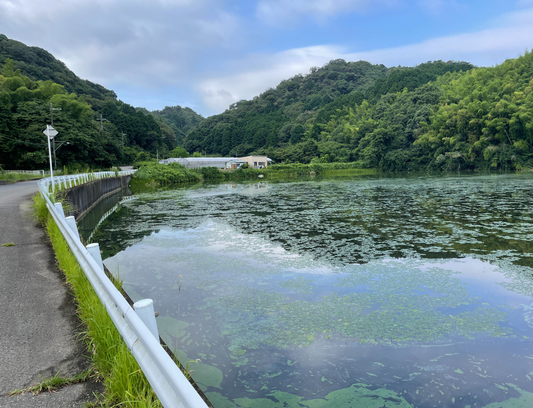 新池(信達岡中)