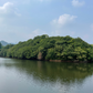 ◆みろく自然公園池