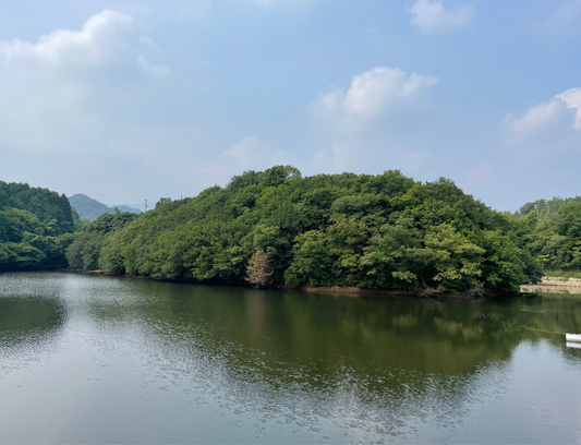 ◆みろく自然公園池