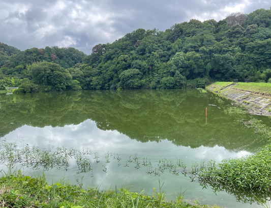 別所池（西三谷）