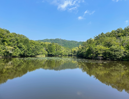 今池（大野木）