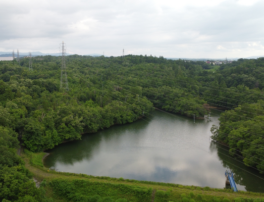 新池(安部居西)