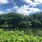 ◆川池(そよかぜ霊園)