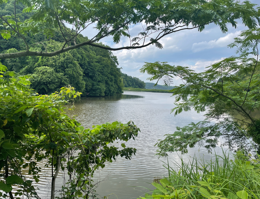 ◆長池（玉泉寺）