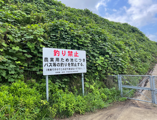 ◆中左近池