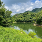 ◆粉河弁財天下池