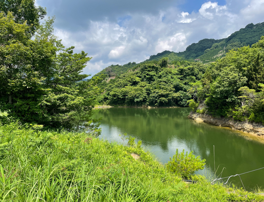 ◆粉河弁財天下池