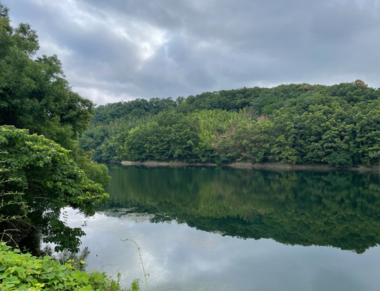 皿池（西三谷）