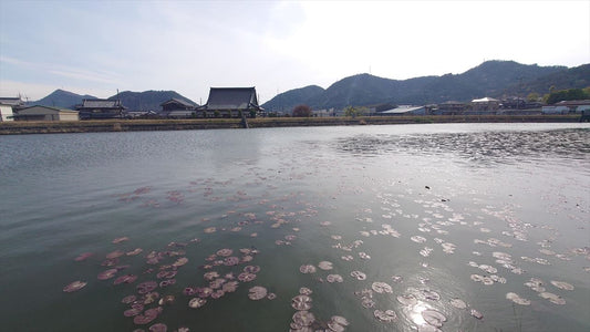 ◆天神池（寺内）