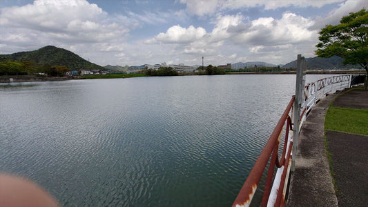 野村大池（野村町）