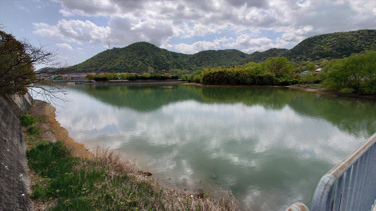 奥野池（野村町）