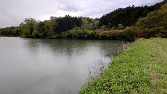 古新池（東田原）