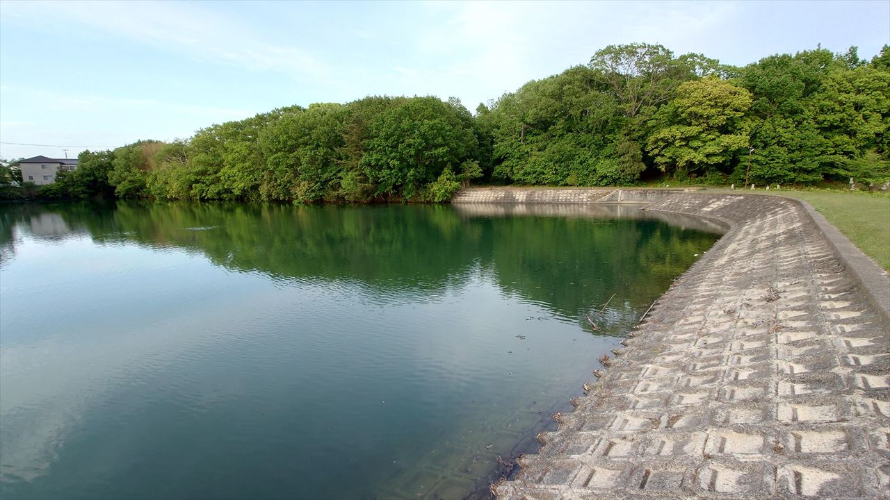 ◆種子池（東古瀬）