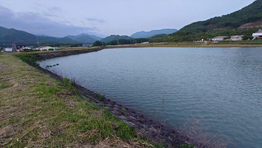 ◆上池（比延町）