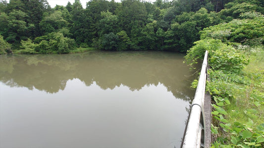 ◆坂谷口上池（下久米）