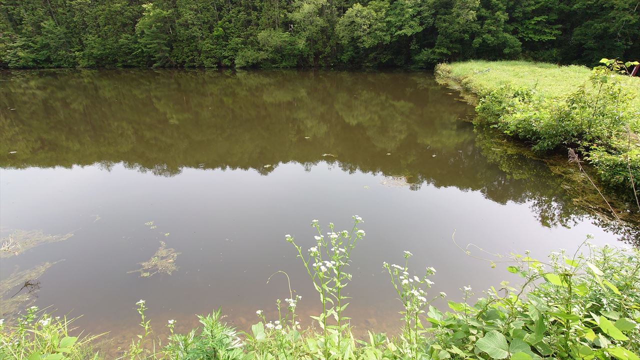 ◆東谷口池（下久米）