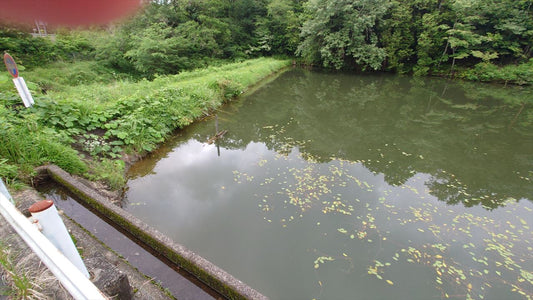 ◆谷田口池（上久米南山）