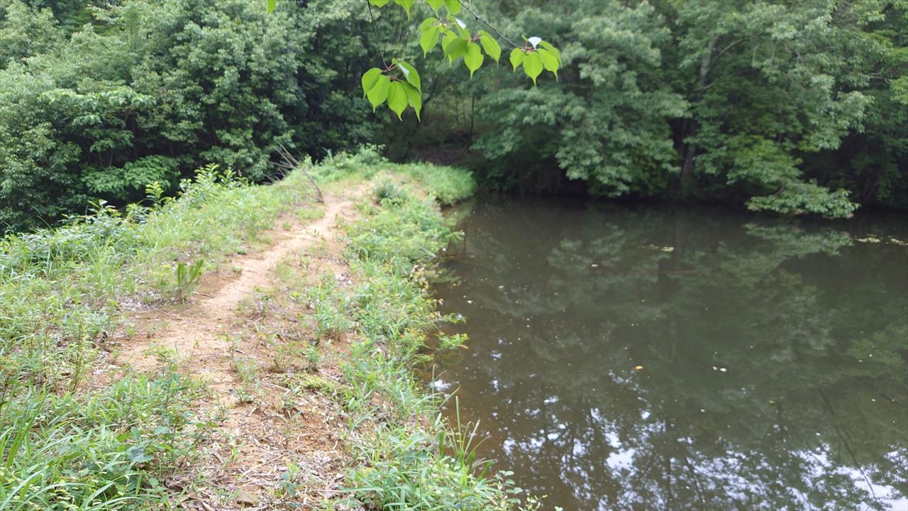 ◆山ノ川池（池之内北山）