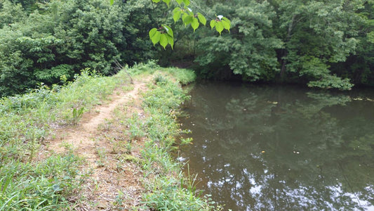 ◆山ノ川池（池之内北山）