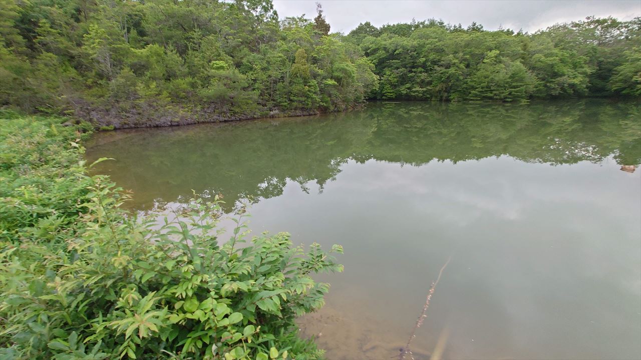 ◆六蔵池（池之内北山）