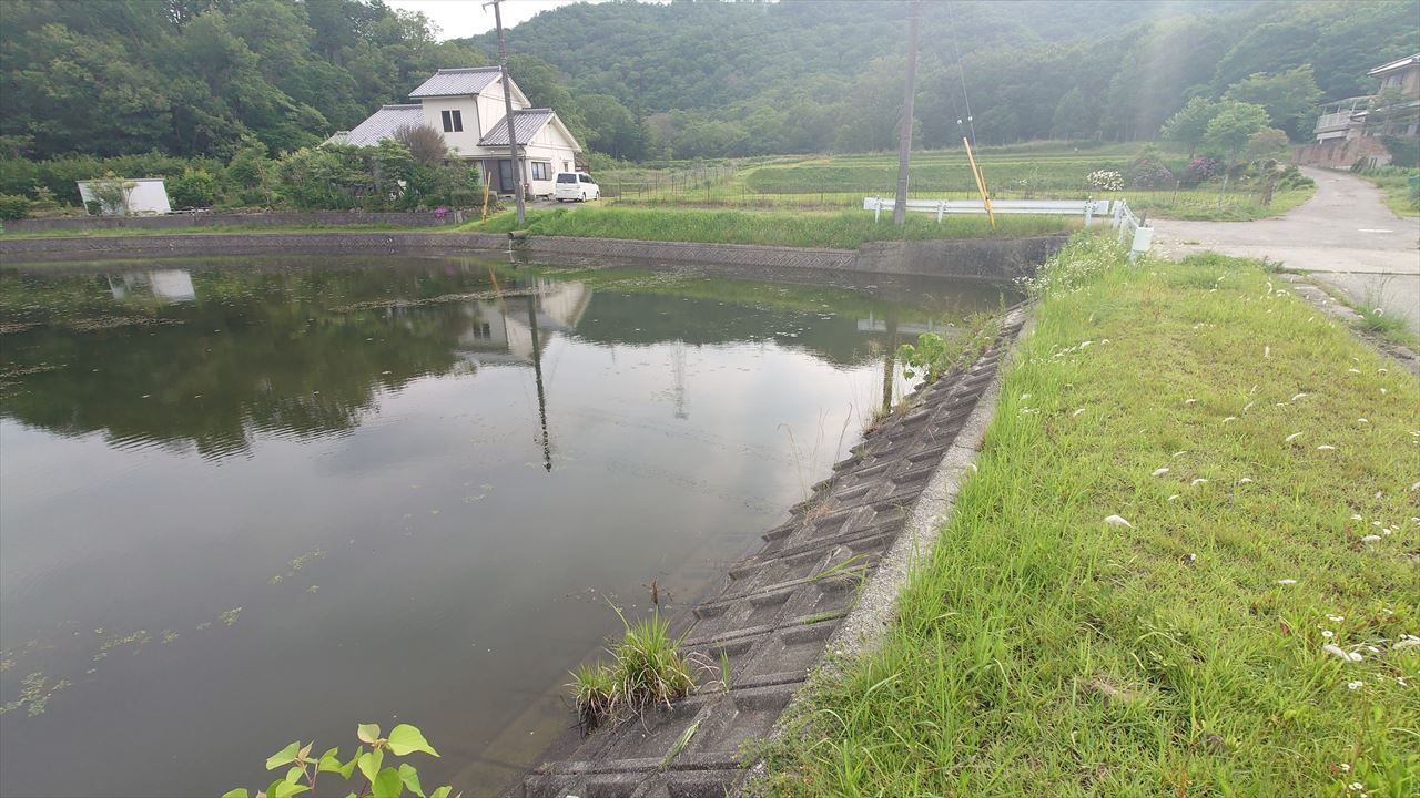 ◆皿池（西脇平野）