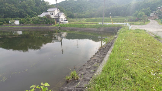 ◆皿池（西脇平野）