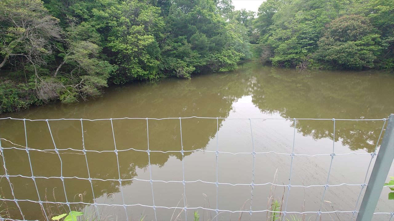 ◆下東谷池（西名谷）