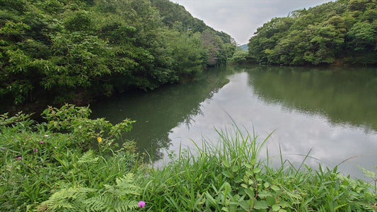 ◆新池（国正町）