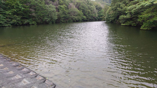 ◆長法寺池（国正町）