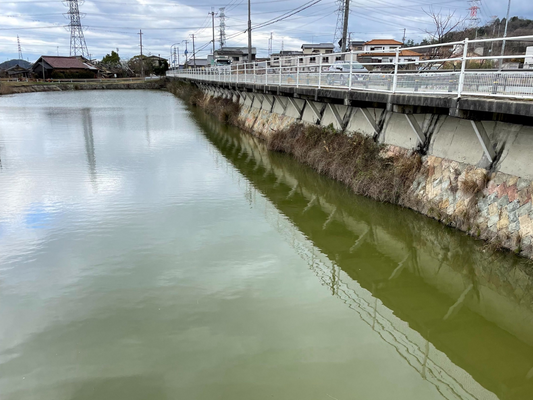 ◆赤坂下池（平荘町）