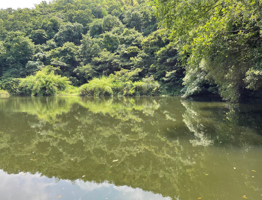 都志川溜