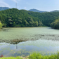 ◆宗極北池
